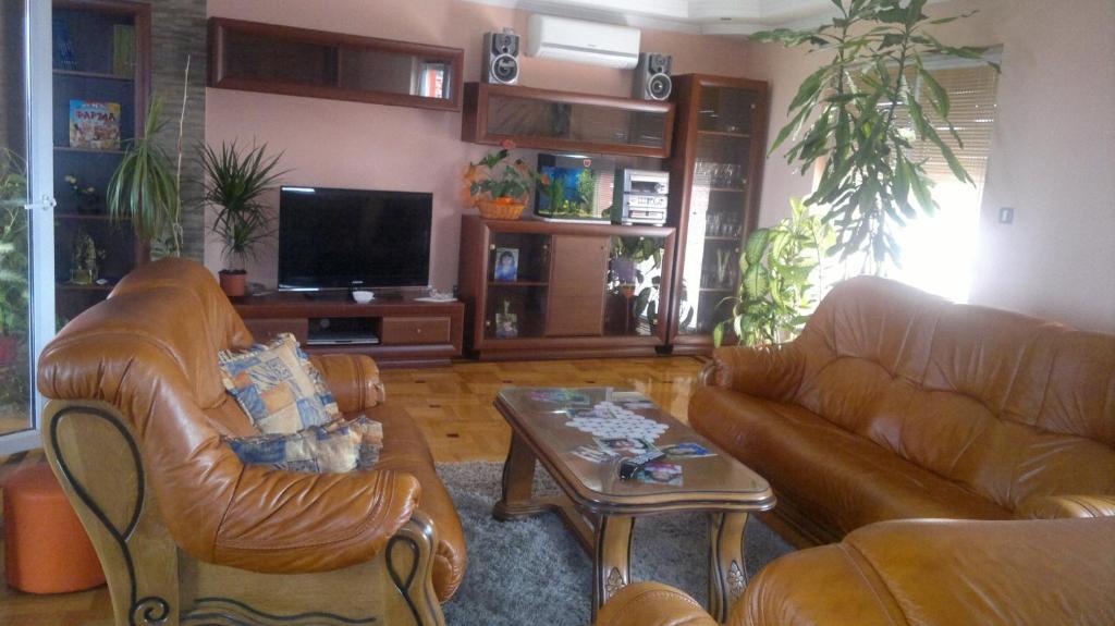 Apartments Maca Нови-Сад Номер фото